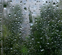 Погода в Туле 25 августа: прохладно, дождливо и ветрено