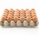 Антибиотики и фантомные лаборатории: что нашли при проверке яичной продукции тульского производителя