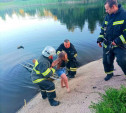 В Донском двое детей чуть не утонули в заброшенном водоеме