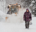 Минтранс просит туляков воздержаться от поездок на личном транспорте в ближайшие сутки из-за мощного снегопада 