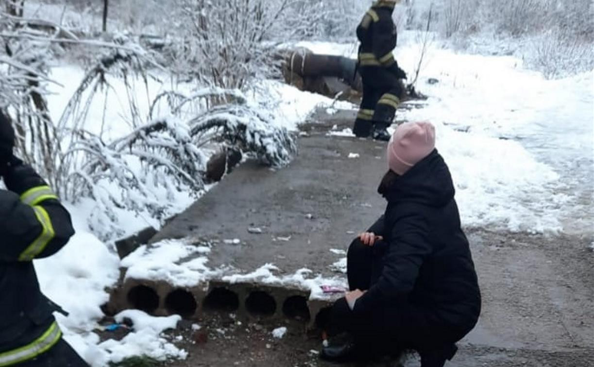 В Первомайском пожарные спасли котика, застрявшего в бетонной плите