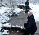 В Первомайском пожарные спасли котика, застрявшего в бетонной плите