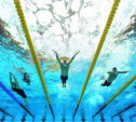 Тульские пловцы привезли семь медалей с первенства ЦФО