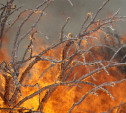 В лесах Тульской области объявлен пожароопасный период