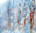 Погода в Туле на выходные: небольшой снег и лёгкие заморозки