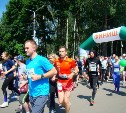 В Туле прошёл «Зелёный марафон  – 2016»