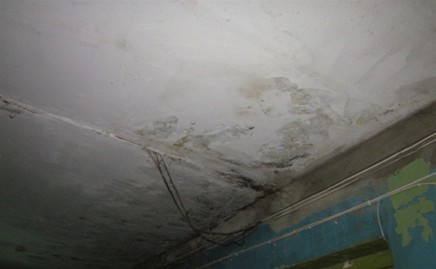 В музее Ефремова протекают потолки, а часть зала отдали под аптеку