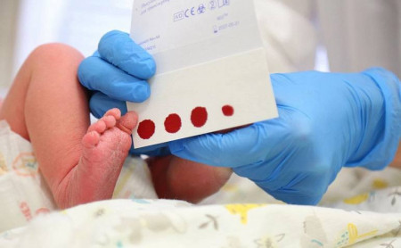 Жизнь Тулы и области