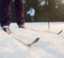 Школа спортивного туризма приглашает туляков в лыжный поход выходного дня