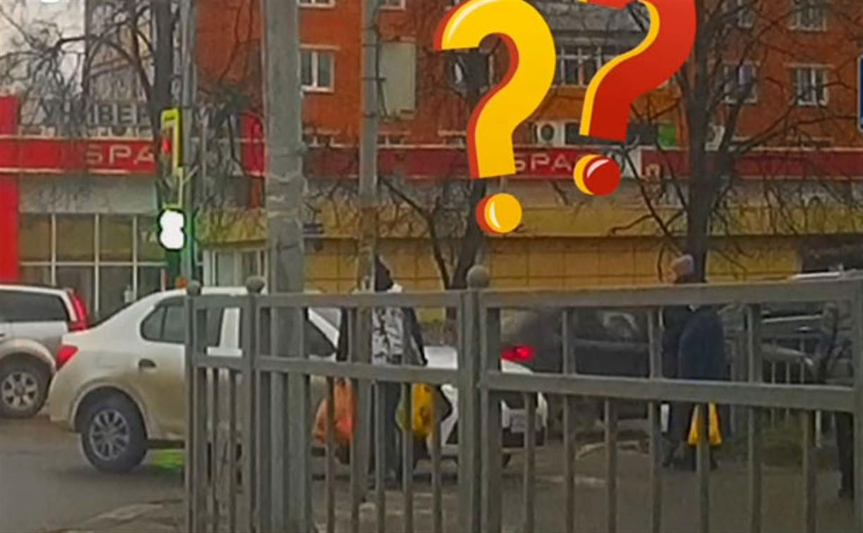 «Накажи автохама»: в Туле «находчивый» водитель Renault очень удивил пешеходов