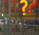 «Накажи автохама»: в Туле «находчивый» водитель Renault очень удивил пешеходов