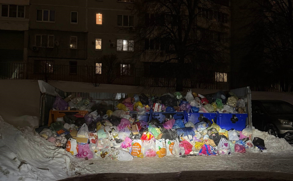 Дорога почищена, но «Хартия» не едет: туляки возмущены горами мусора 