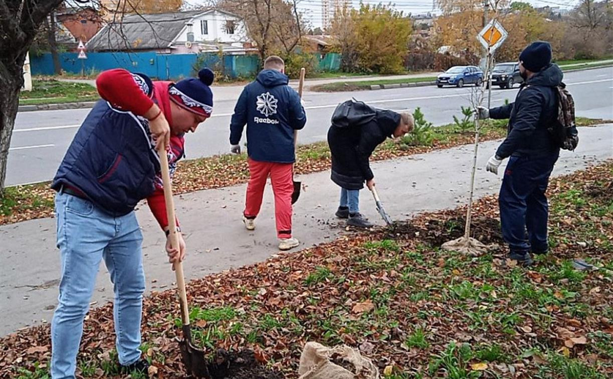 В Туле высадили около 300 молодых деревьев