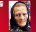 В Тульской области пропала 86-летняя бабушка