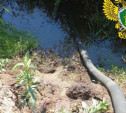 Неизвестные установили трубы в реке: возле деревни Большая Еловая погибла рыба