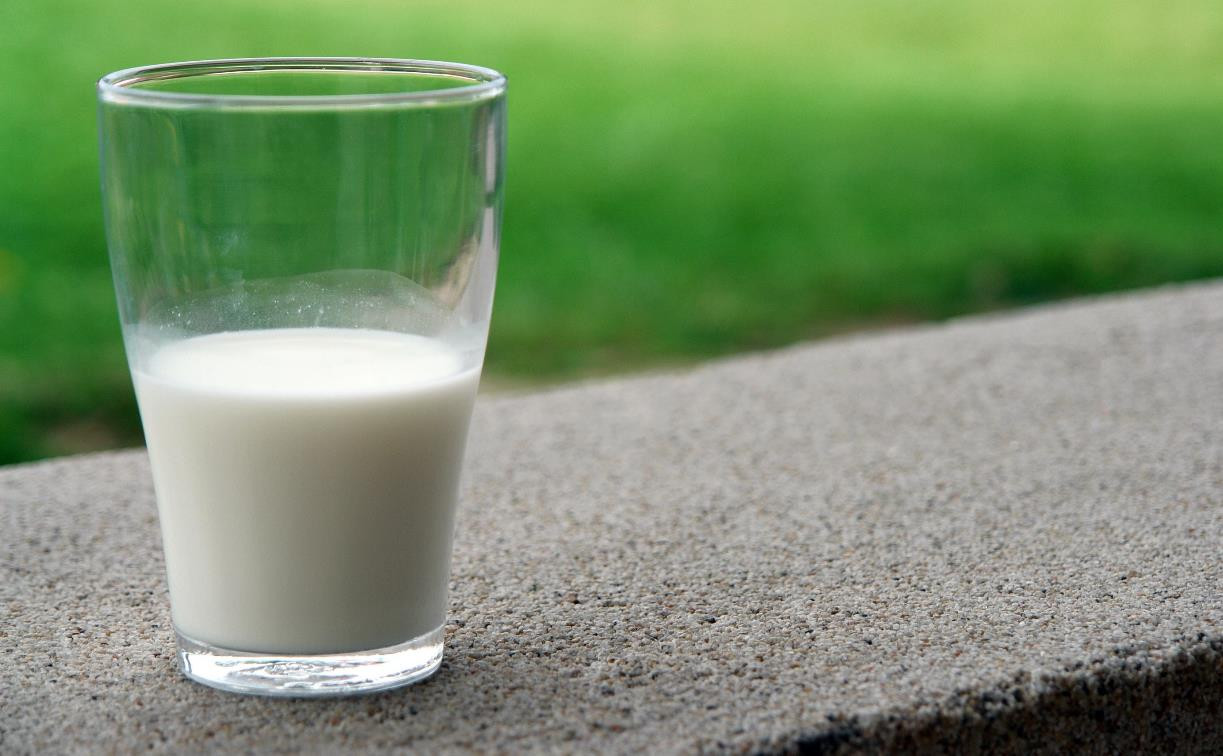 Есть ли в молоке антибиотики: Тульский молочный комбинат ответил на вопросы читателей Myslo