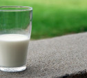Есть ли в молоке антибиотики: Тульский молочный комбинат ответил на вопросы читателей Myslo