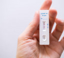 В Тульской области за сутки подтвердилось 175 случаев коронавируса
