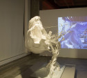 «Живой объект»: в «Октаве» открылась выставка современного искусства