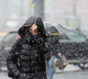 Погода в Туле 12 декабря: снег с дождем и около нуля