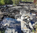 На бывшей птицефабрике «Рассвет» в Туле загорелись разлитые нефтепродукты