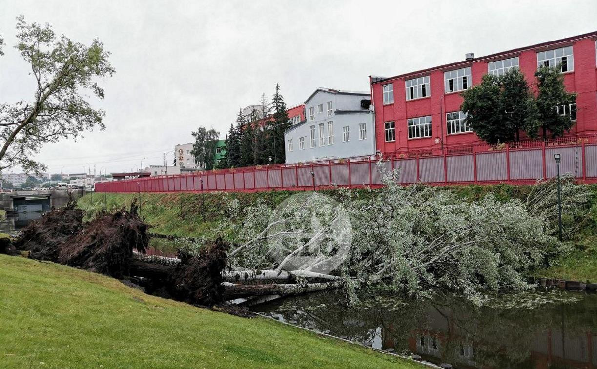 На Казанской набережной в Туле поваленные деревья упали в реку