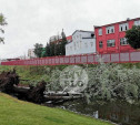 На Казанской набережной в Туле поваленные деревья упали в реку