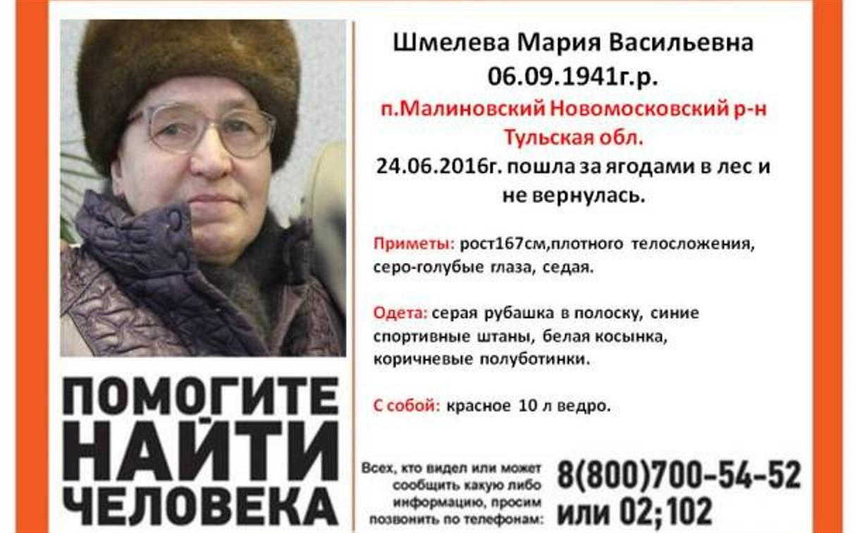 В Новомосковске пенсионерка ушла в лес и не вернулась