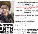 В Новомосковске пенсионерка ушла в лес и не вернулась
