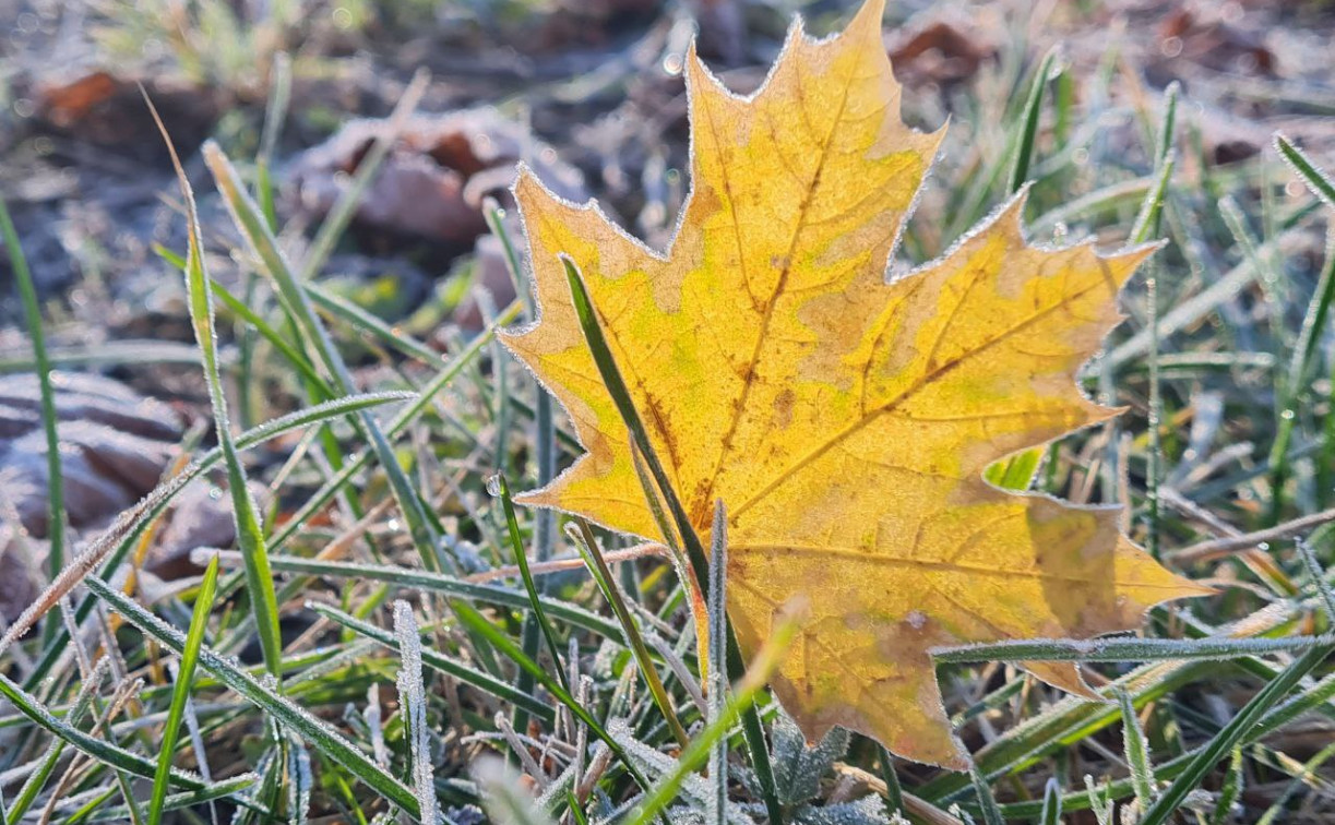 Первые выходные декабря в Тульской области будут сухими и пасмурными