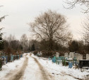 Кто устроил бардак на тульском кладбище: вандалы или воры? Фоторепортаж