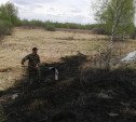 В Тульской области огонь с полей едва не перекинулся на дачи