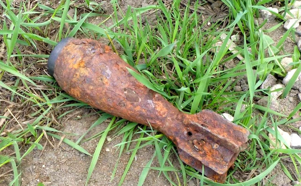В Зареченском округе Тулы нашли мину