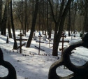 В Белёвском районе мужчина воровал с кладбища надгробия, кресты и памятники
