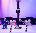 В Тулу приедут роботы со всего мира