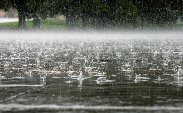 Метеопредупреждение: за день в Тульской области выпадет до 33 мм осадков