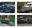 Тульская область утонула в мусоре: кто должен опустошать мусорные контейнеры и стихийные свалки?