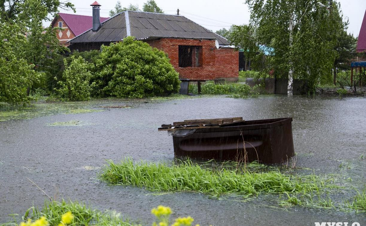 Жители села Дедилово получили компенсации за затопленные участки. 100 рублей за сотку 