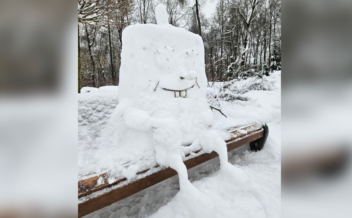 Туляки делятся фотографиями своих снеговиков