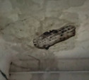 В одном из домов Алексина после ливня с потолка отвалилась штукатурка