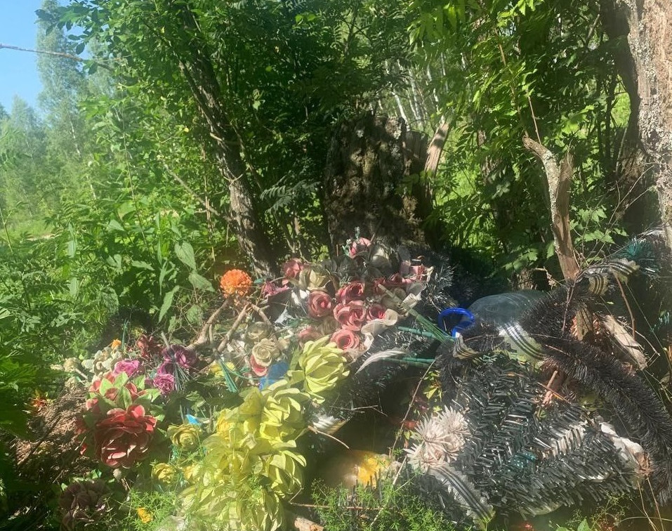 В Белевском районе прокуратура нашла заброшенное кладбище возле деревни Бакино