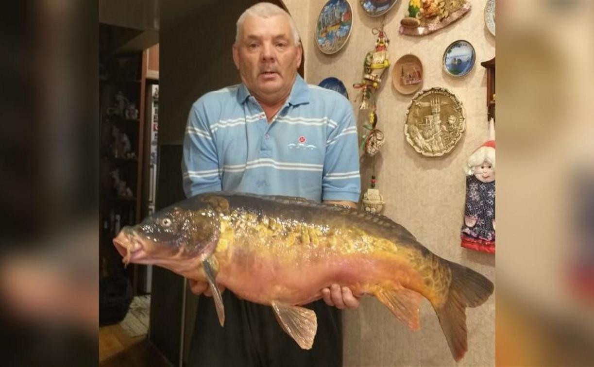 Рыбак в Туле поймал здоровенного зеркального карпа на 12 килограммов