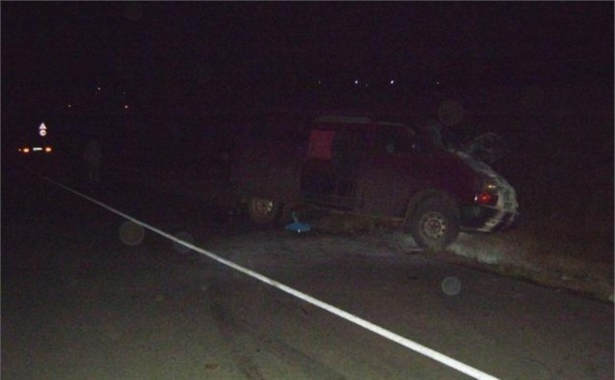 В Донском водитель микроавтобуса насмерть сбил 16-летнего пешехода