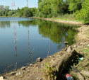 Менделеевский пруд в Туле погряз в мусоре