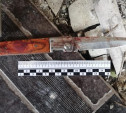 Убийство в Скуратово: на теле жертвы насчитали 38 ножевых ранений