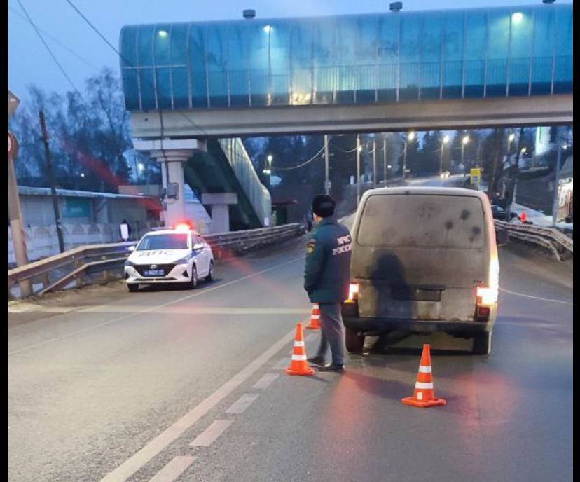 В Плавском районе микроавтобус насмерть сбил пенсионерку вне «зебры»