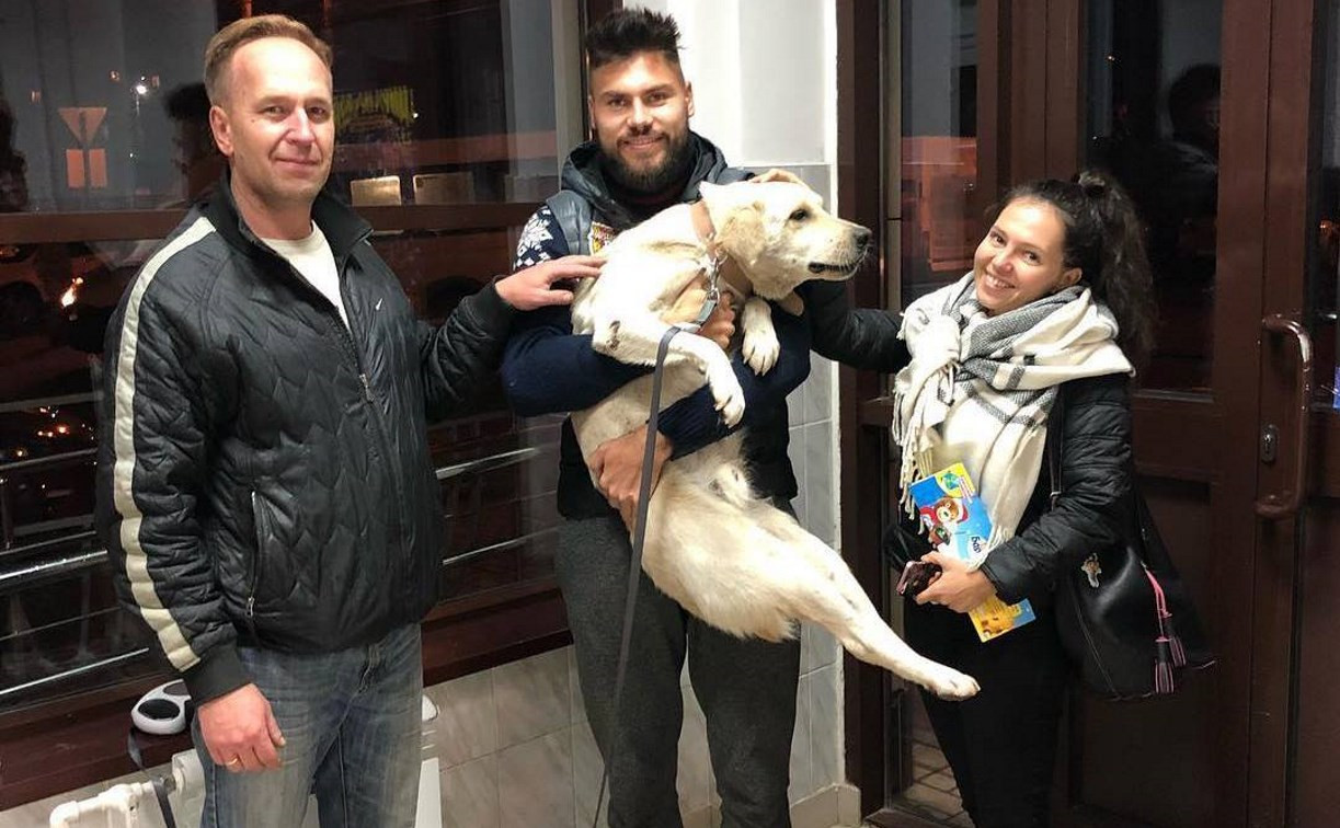 Туляки помогли арсенальцу Максиму Беляеву найти бездомного пса