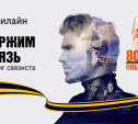 В честь 80-летия Победы в Великой Отечественной войне билайн запускает проект «Держим связь»