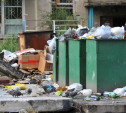 Прокуратура возбудила дела против руководителей тульских УК за грязные мусорки
