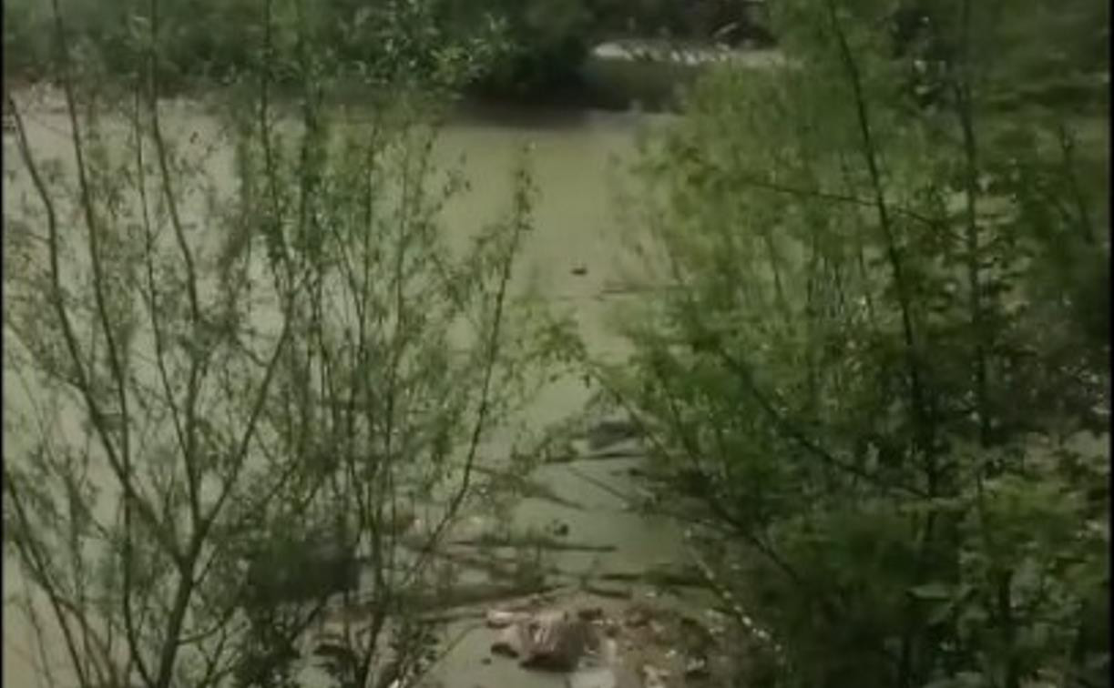 В Туле дети нашли труп женщины в пруду в Заречье